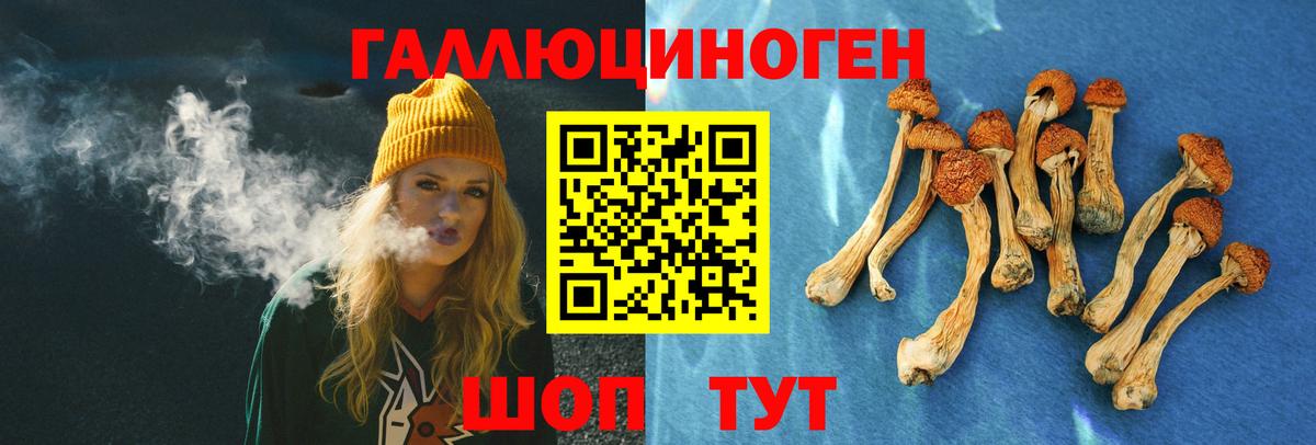 Псилоцибиновые грибы GOLDEN TEACHER Батайск